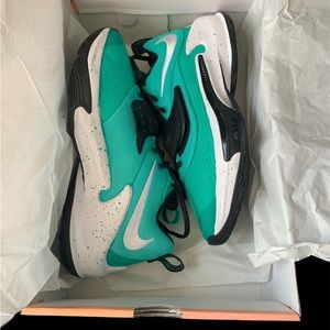 NIB Nike Zoom Freak 3 TB
